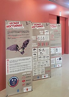 La 'Mochila de Actividades' propone este fin de semana talleres sobre la tortuga boba en Calblanque y una exposición sobre murciélagos en Sierra de la Pila