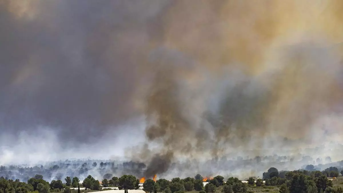 Un incendio arrasa 400 hectáreas en Sierra Espuña y obliga a desalojos en Totana