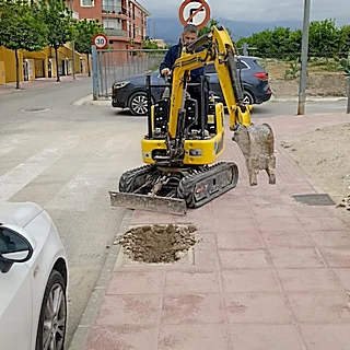 Mula planta más árboles para crear una ciudad más verde, fresca y sostenible