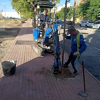 Mula amplía sus zonas verdes con nuevas plantaciones de árboles en el casco urbano y las pedanías