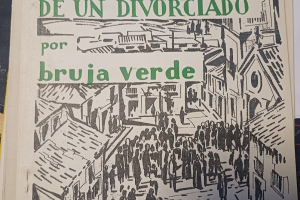 Apuros de un divorciado por bruja verde