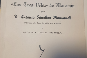 REPAROS A Los tres Velez de Marañon