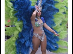 Carnaval de Mula 2014