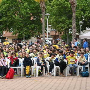 Canción Scout convierte Mula  (9)